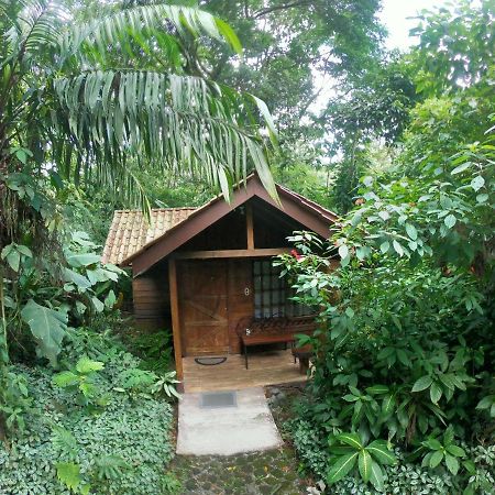 Arenal Oasis Eco Lodge & Wildlife Refuge La Fortuna Exterior photo