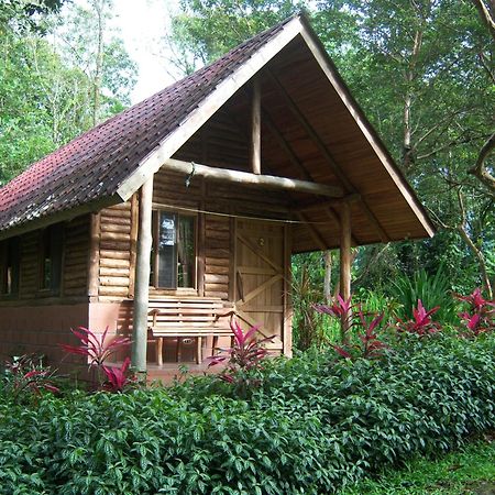 Arenal Oasis Eco Lodge & Wildlife Refuge La Fortuna Exterior photo