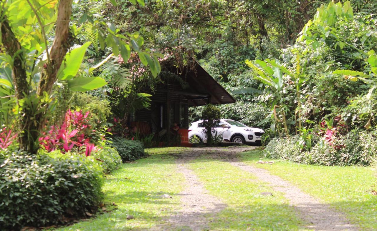 Arenal Oasis Eco Lodge & Wildlife Refuge La Fortuna Exterior photo