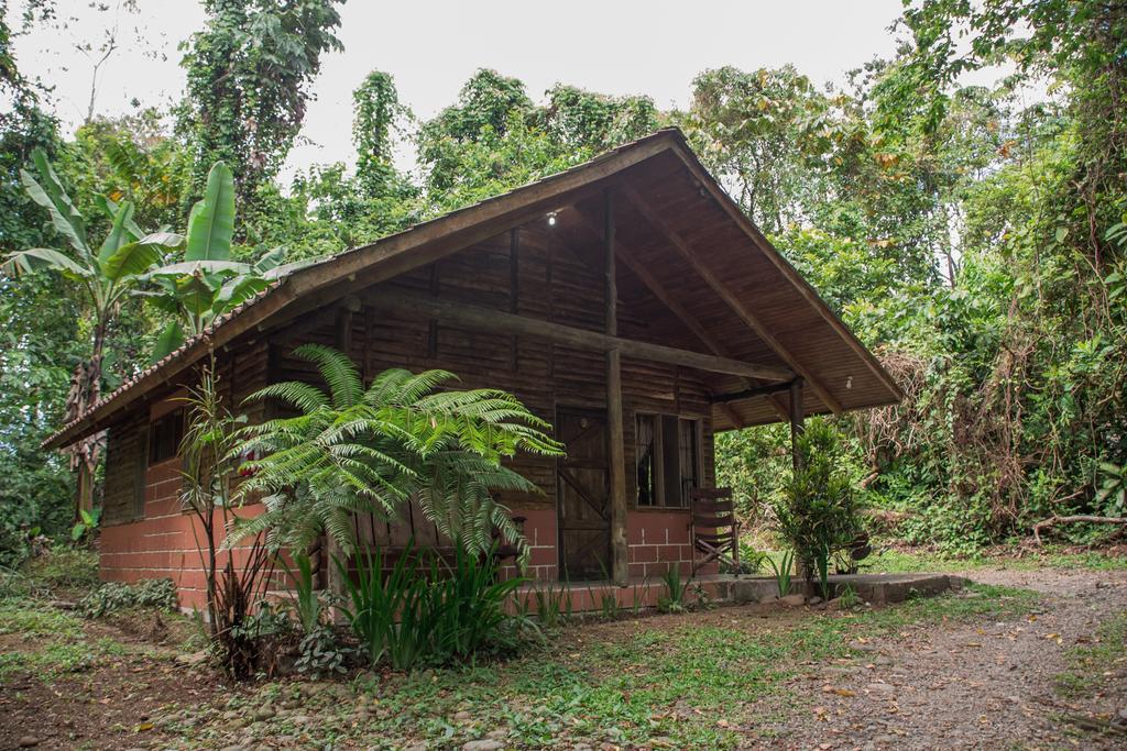 Arenal Oasis Eco Lodge & Wildlife Refuge La Fortuna Exterior photo